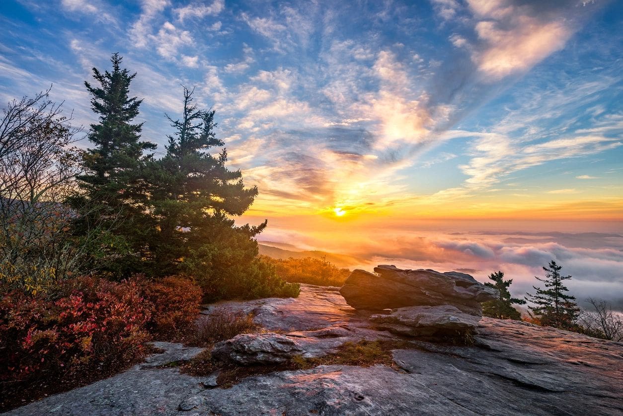 A sunset over the ocean with trees on top of it.