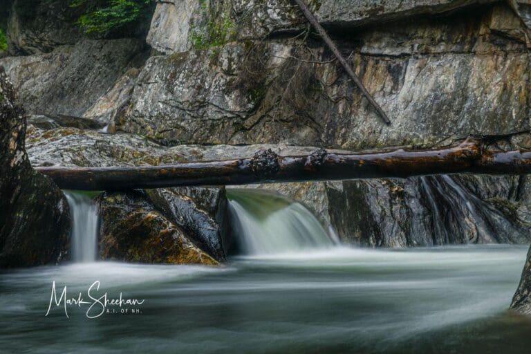 A long wooden pole in the middle of a river.