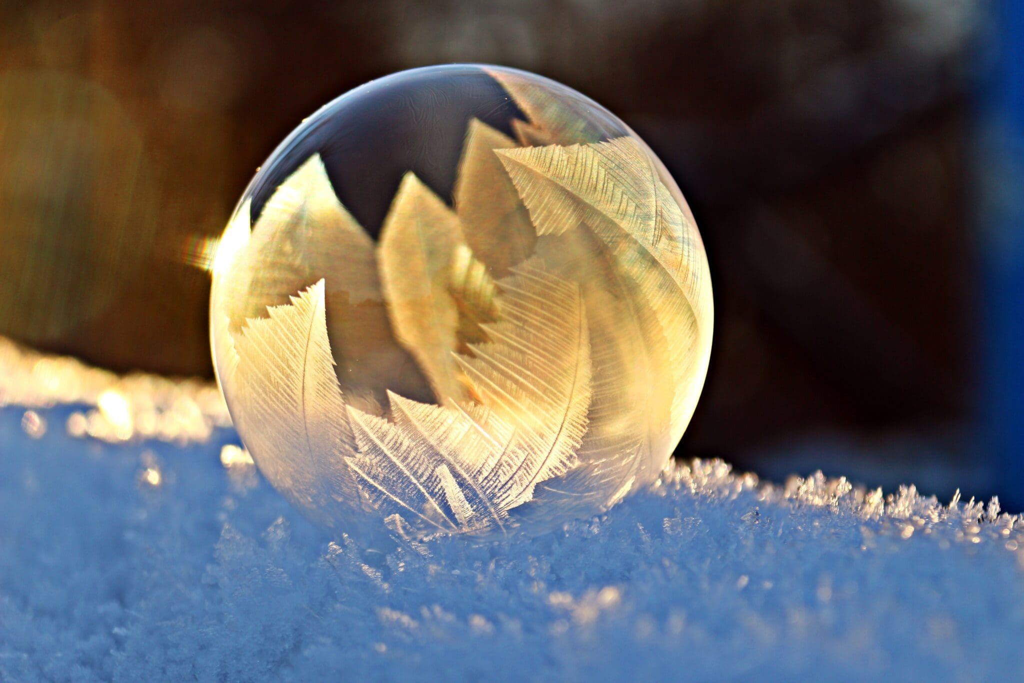 soap-bubble-1958650 A bubble with leaves in it sitting on top of snow.