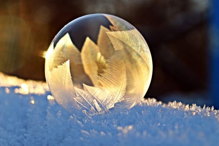 A bubble with leaves in it sitting on top of snow.